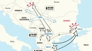 Wędrówki uchodźców i imigrantów przez Bałkany
