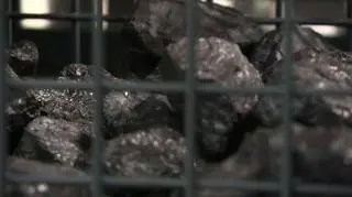 Węgiel na polskim stoisku na CP24