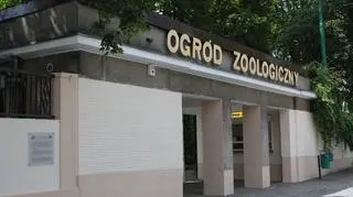 Wejście do starego ogrodu jest teraz darmowe