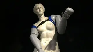 Wenus z Milo z protezami 3D