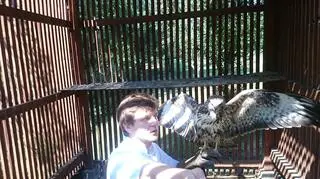 Weterynarze chcą, by zwierzęta wróciły na wolność