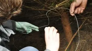 Weterynarze nie tylko zaopiekowali się rannym psem, ale także przeprowadzili oględziny miejsca, w którym go znaleziono