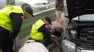 Węża nie schwytano