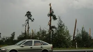 Wichura niszczyła wszystko, co napotkała na drodze (fot. Adam)