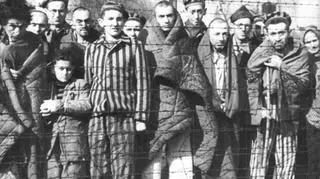 Więźniowie wyzwoleni przez żołnierzy radzieckich w obozie macierzystym. 