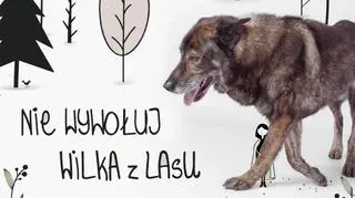 Wilczur Rufus zdobi marcową kartę kalendarza 