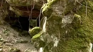 "Wilczy Szaniec" odwiedza rocznie ok. 200 tysięcy osób