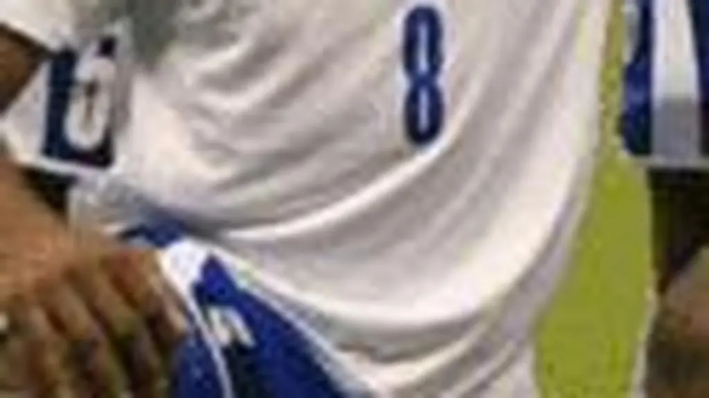 Wilson Palacios