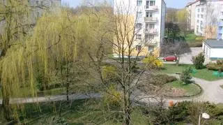 Wiosna rozkwitła w Łodzi (foto: Krzysiek z Retkini)