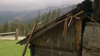 Wizyta niedźwiedzia spowodowała zniszczenia