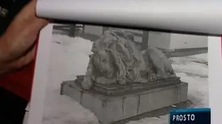 Władze Bytomia twierdzą, że maja kwity na lwa