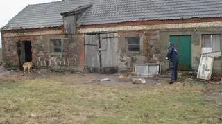 Właściciel trzymał psy w skandalicznych warunkach