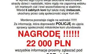 Właściciele stadniny wyznaczyli nagrodę 