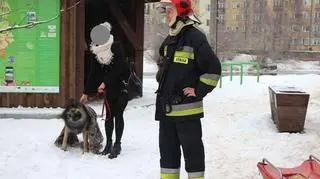 Właścicielka zabrała psa do wetrynarza 