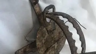 Wnyki w które wpadł kot