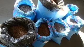 Wobec obywatela Ukrainy wszczęte zostało postępowanie karne skarbowe