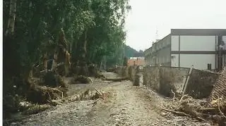 Woda łamała drzewa, niszczyła ogrodzenia