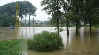 Woda zalała pola, ogródki działkowe, drogi i domy (fot. Krzysztof)