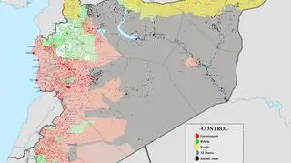 Wojna domowa w Syrii. Stan na 28 lipca 2015 r. 