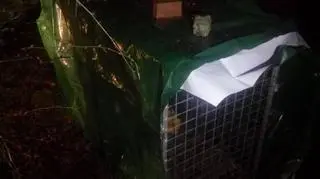 Wolontariuszki zabezpieczyły klatkę, zostawiły psu koc i jedzenie