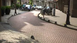 Woonerf w Amsterdamie