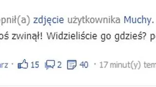Wpis na fanpage'u Lecha Poznań