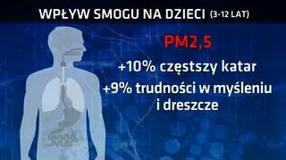 Wpływ smogu i zanieczyszczonego powietrza na dzieci