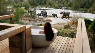 Wprost z tarasu hotelu Londolozi można podziwiać m.in. stada słoni i bawołów