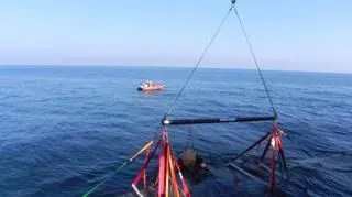 Wrak był 70 lat pod wodą, ale jest w dobrym stanie