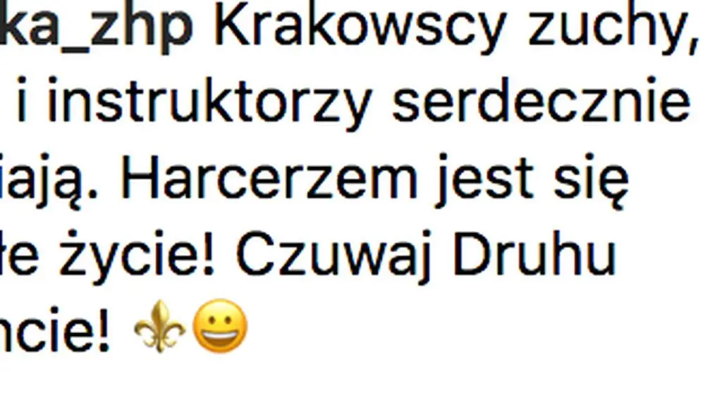 Wśród komentujących są harcerze