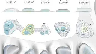 Wstępne rozplanowanie budynków 