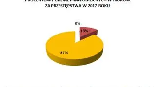 Wszystkie prawomocne skazania za przestępstwa w czasie imprez masowych dotyczyły wydarzeń sportowych, z czego przytłaczająca większość - meczów piłkarskich