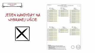 Wybory samorządowe 2018. Jak prawidłowo oddać głos?