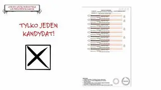 Wybory samorządowe 2018. Jak prawidłowo oddać głos?