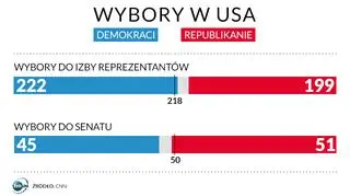 Wybory w USA