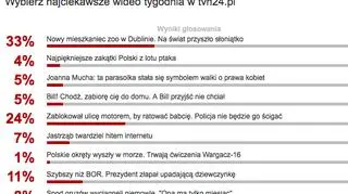 Wybraliście najciekawsze wideo tygodnia w tvn24