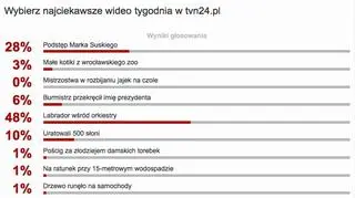 Wybraliście najciekawsze wideo tygodnia w tvn24.pl
