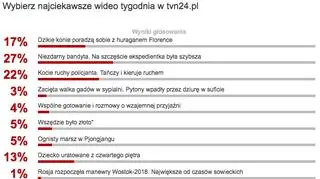Wybraliście najciekawsze wideo tygodnia w tvn24.pl