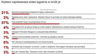 Wybraliście najciekawsze wideo tygodnia w tvn24.pl