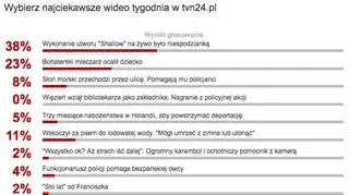Wybraliście najciekawsze wideo tygodnia w tvn24.pl