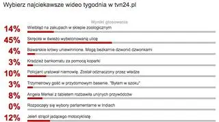 Wybraliście najciekawsze wideo tygodnia w tvn24.pl