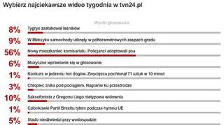 Wybraliście najciekawsze wideo tygodnia w tvn24.pl