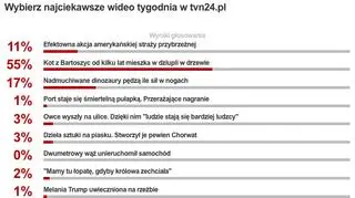 Wybraliście najciekawsze wideo tygodnia w tvn24.pl