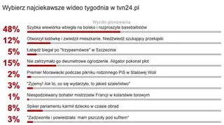 Wybraliście najciekawsze wideo tygodnia w tvn24.pl