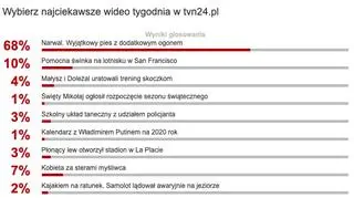 Wybraliście najciekawsze wideo tygodnia w tvn24