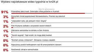 Wybraliście najciekawsze wideo tygodnia w tvn24.pl