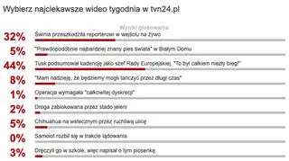 Wybraliście najciekawsze wideo tygodnia w tvn24.pl