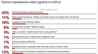 Wybraliście najciekawsze wideo tygodnia w tvn24.pl