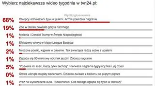 Wybraliście najciekawsze wideo tygodnia w tvn24.pl