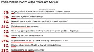 Wybraliście najciekawsze wideo tygodnia w tvn24.pl